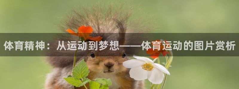 谈球吧体育
