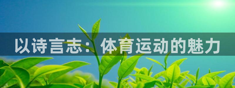 谈球吧体育