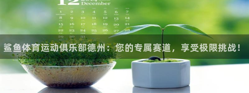 谈球吧体育官网：鲨鱼体育运动俱乐部德州：您的专属赛道，享受极限挑战！