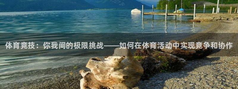谈球吧体育官网：体育竞技：你我间的极限挑战——如何在体育活动中实现竞争和协作