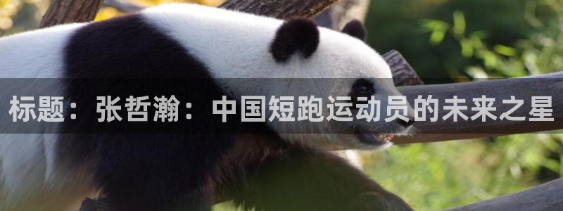 谈球吧体育：标题：张哲瀚：中国短跑运动员的未来之星