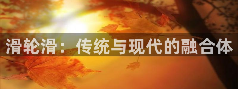 谈球吧体育官网：滑轮滑：传统与现代的融合体