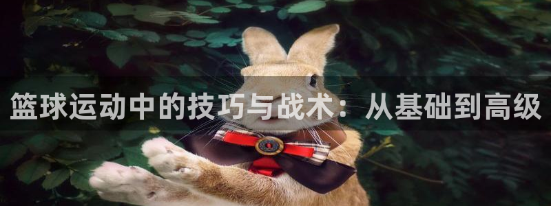 谈球吧：篮球运动中的技巧与战术：从基础到高级