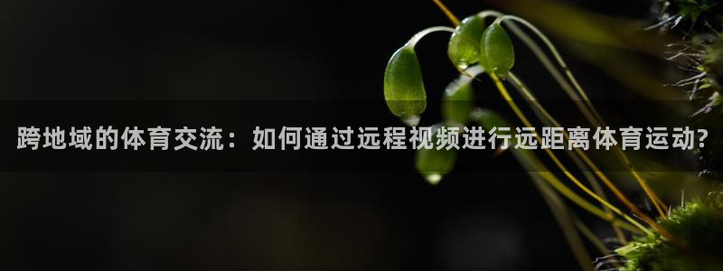 谈球吧体育：跨地域的体育交流：如何通过远程视频进行远距离体育运动?