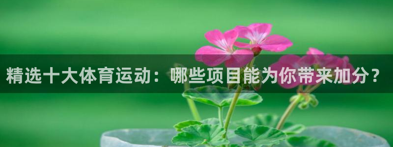 谈球吧体育官网：精选十大体育运动：哪些项目能为你带来加分？
